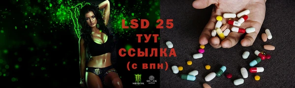 mdpv Инсар