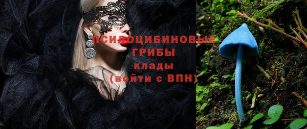 эйфоретик Аркадак