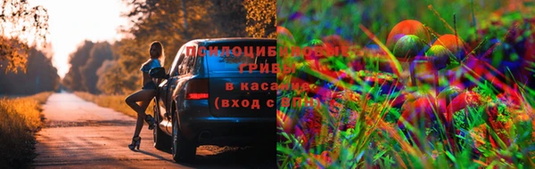 эйфоретик Аркадак