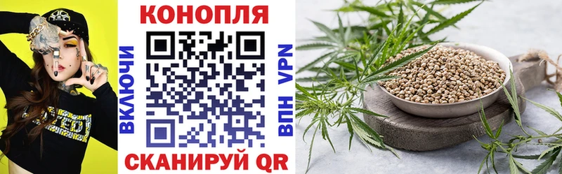 где купить наркоту  Моздок  Шишки марихуана индика 